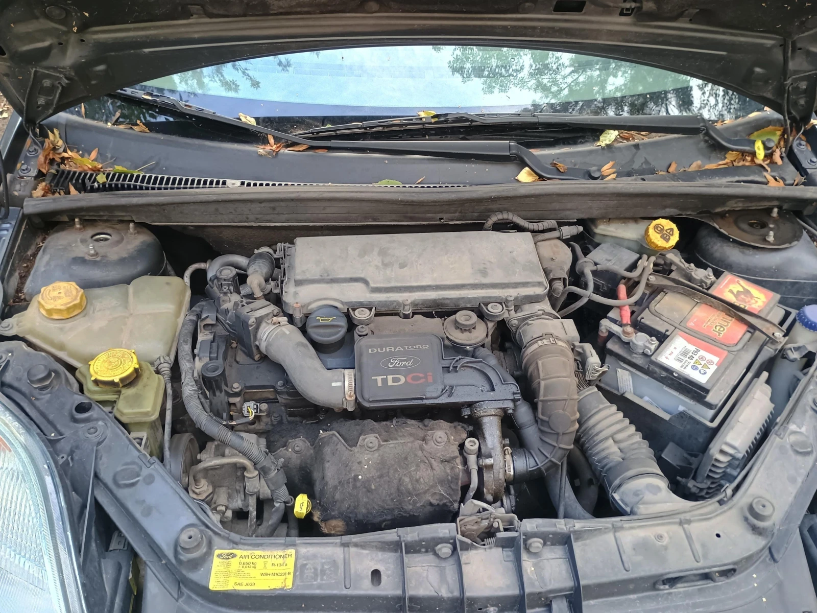 Ford Fiesta  - изображение 5