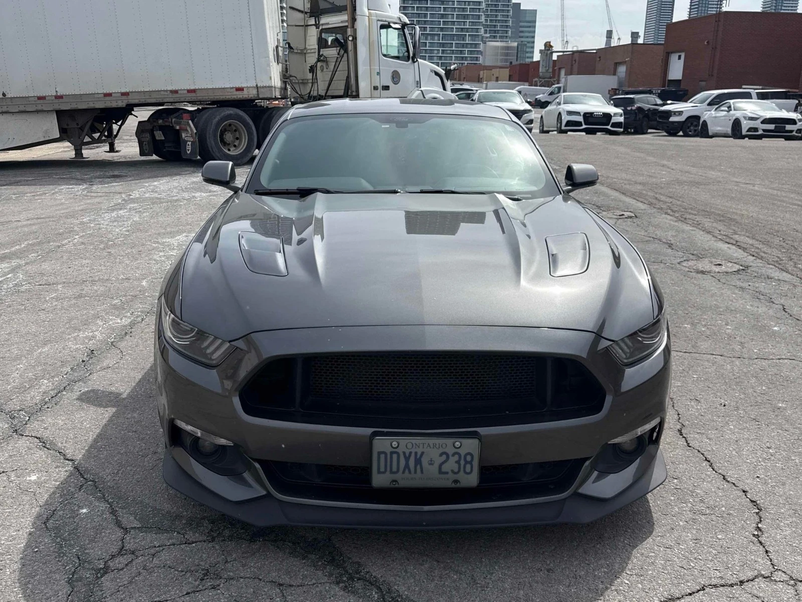 Ford Mustang GT С РЕГИСТРАЦИЯ & АВТО КРЕДИТ , снимка 3 - Автомобили и джипове - 54039498