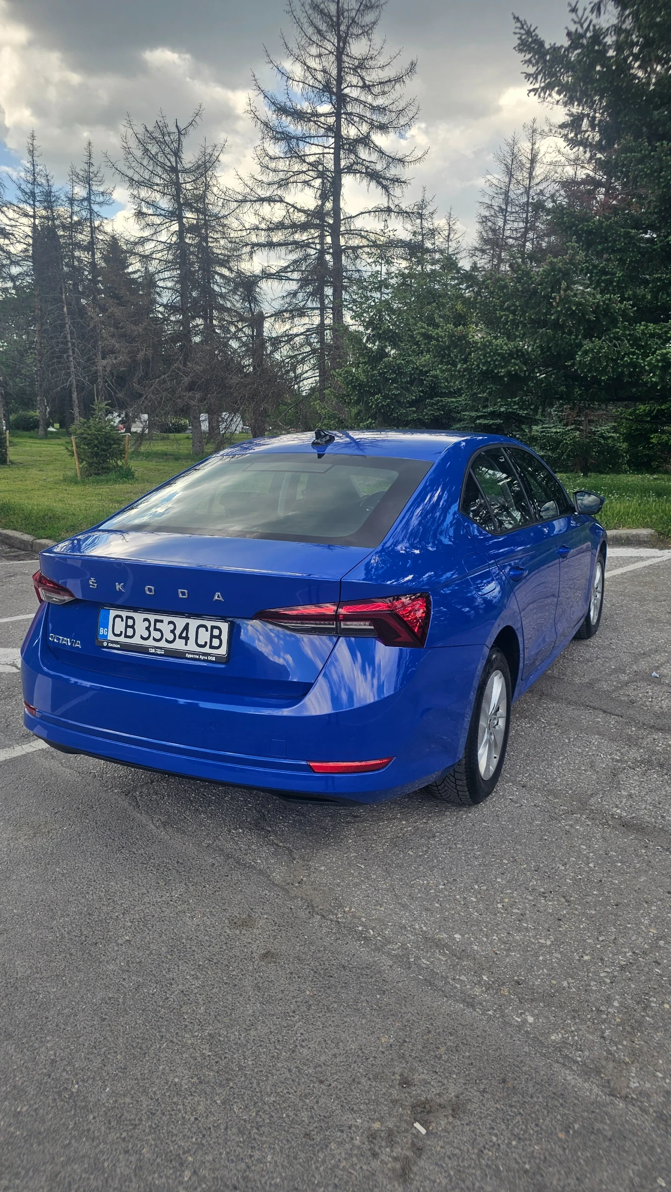 Skoda Octavia TDI НЕРАЗЛИЧИМ ОТ НОВ, снимка 4 - Автомобили и джипове - 54681660