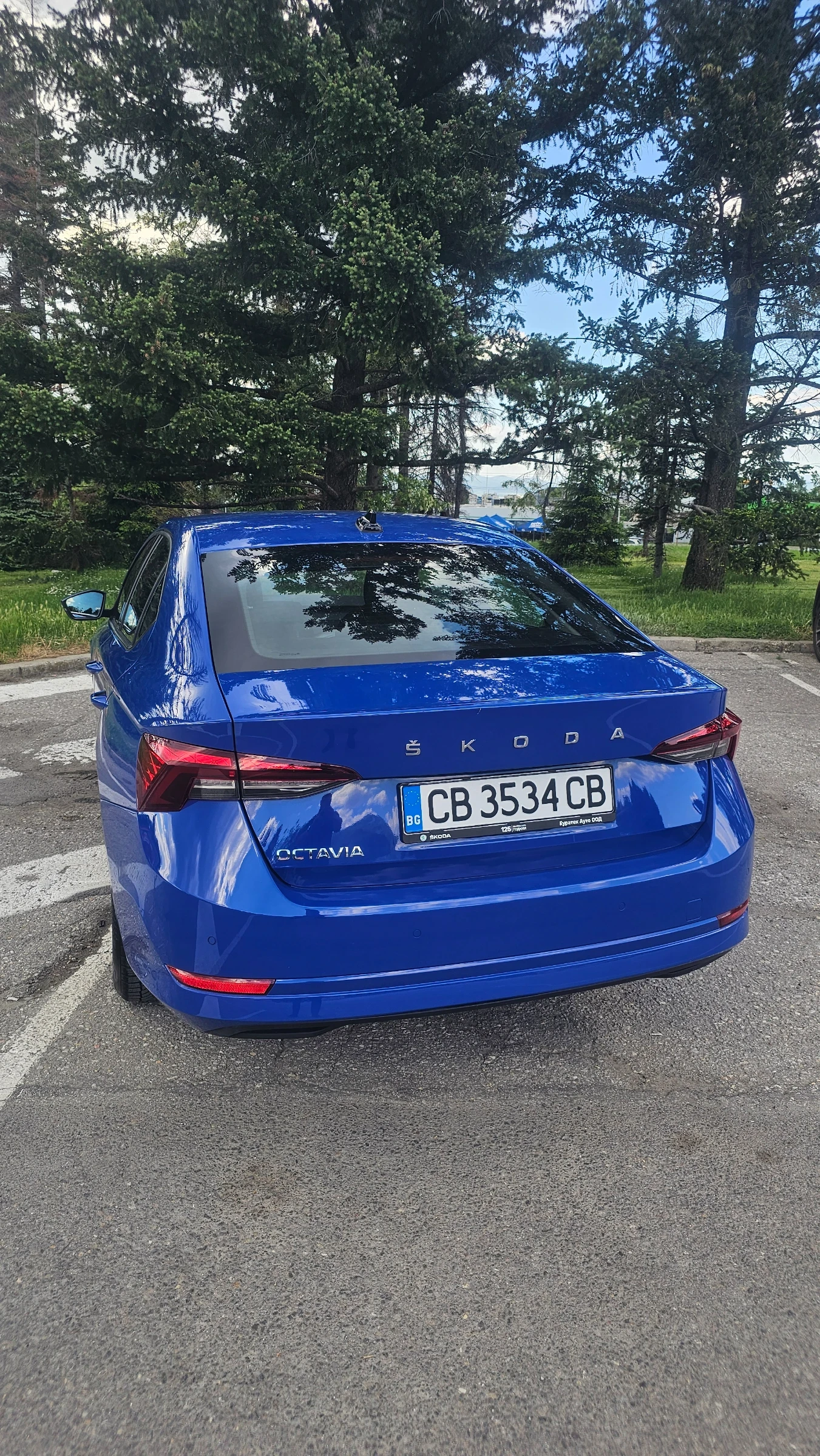 Skoda Octavia TDI НЕРАЗЛИЧИМ ОТ НОВ, снимка 3 - Автомобили и джипове - 54681660