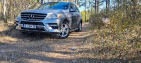     Mercedes-Benz ML 350 166