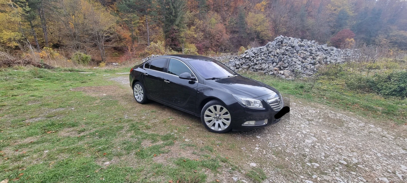 Opel Insignia 2000 160. | Mobile.bg   10