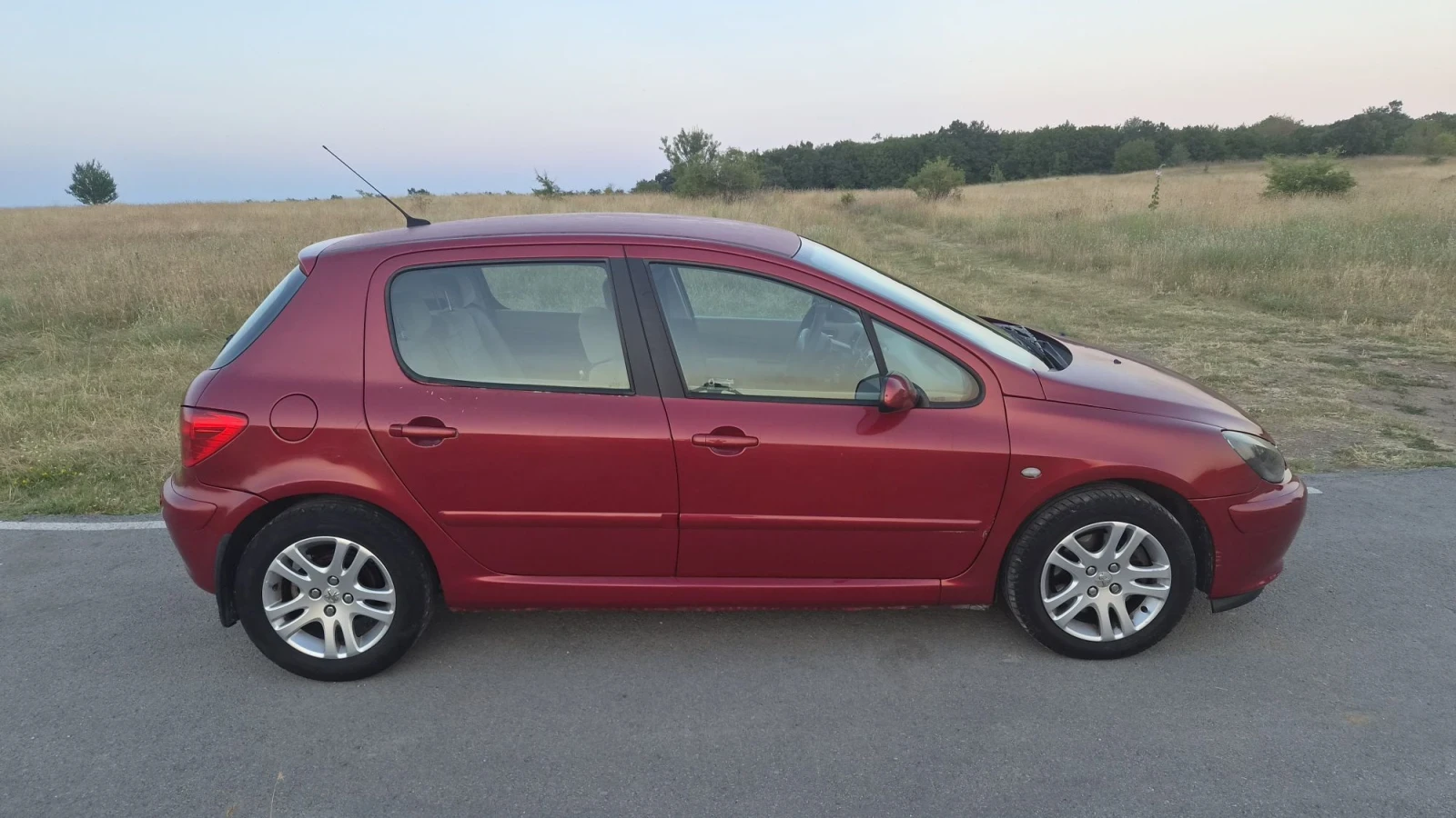Peugeot 307, снимка 4 - Автомобили и джипове - 55785575