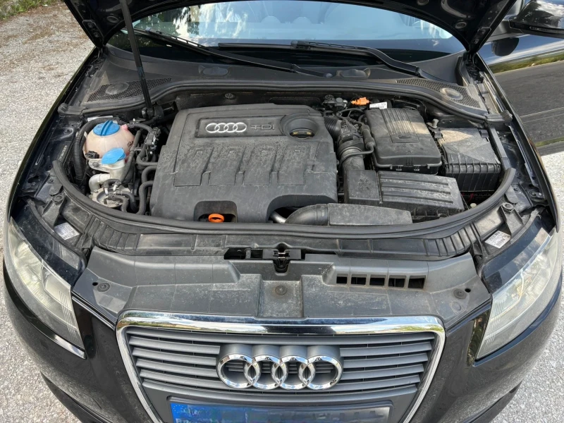 Audi A3 1.6TDI, снимка 4 - Автомобили и джипове - 53541183