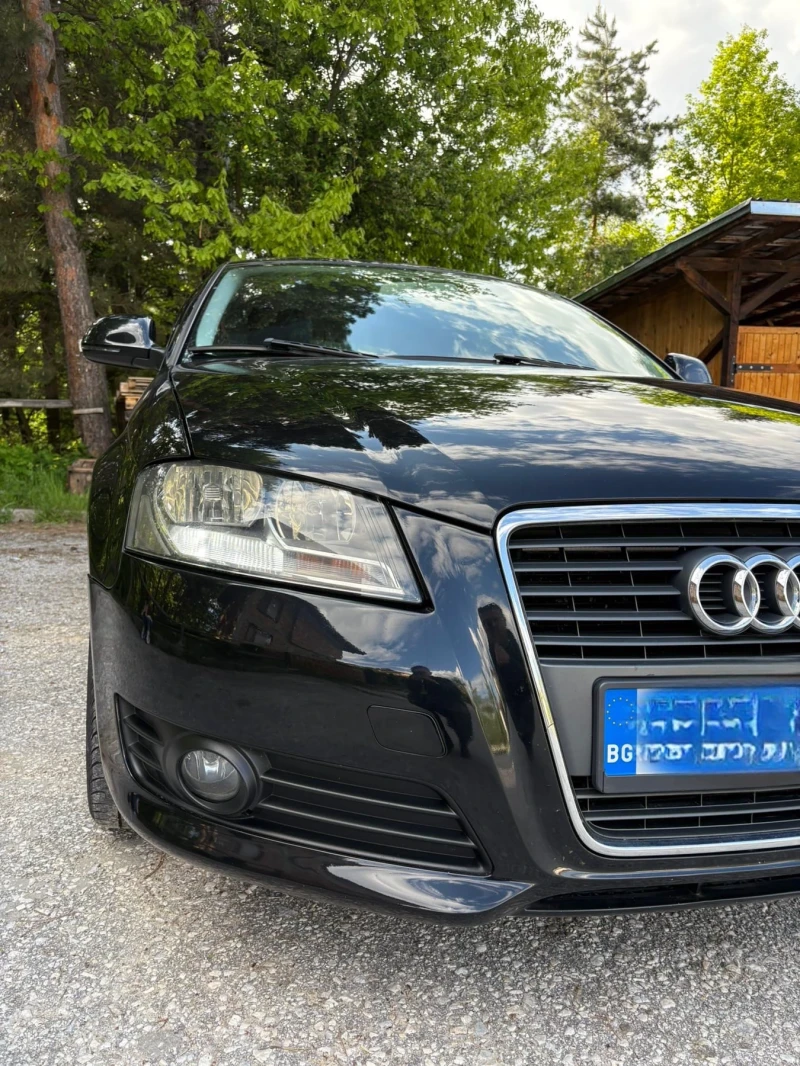 Audi A3 1.6TDI, снимка 2 - Автомобили и джипове - 53541183