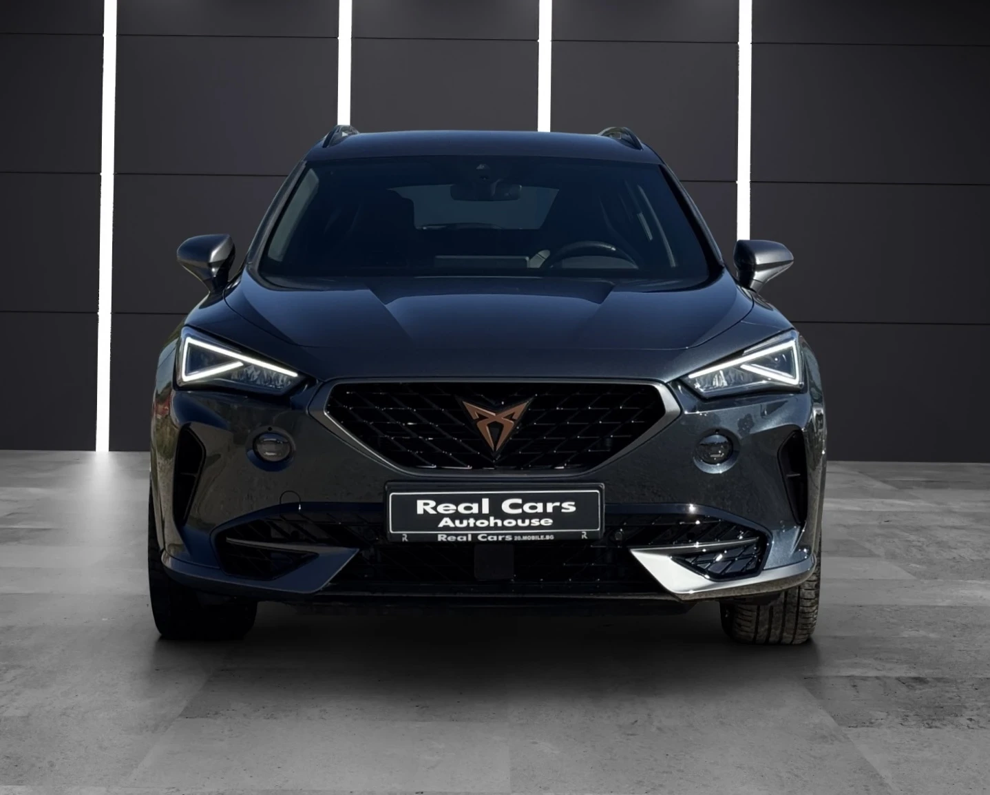 Cupra Formentor 2.0TSI* VZ* KEYLESS* CAMERA* BEATS* CARPLAY - изображение 2