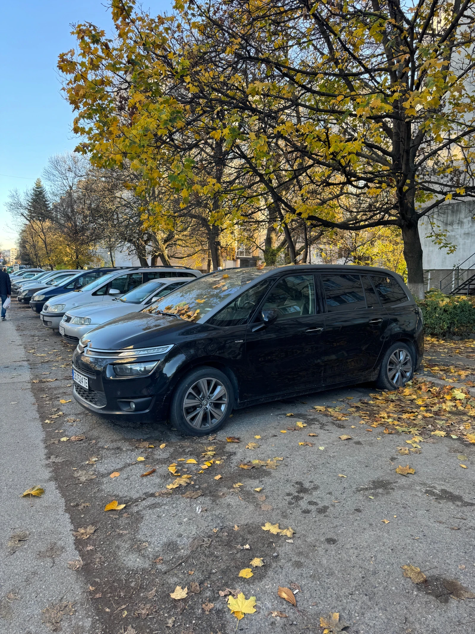 Citroen Grand C4 Picasso 2.0 HDI - изображение 3