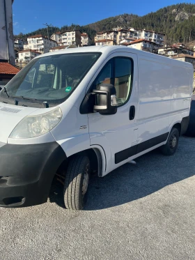 Fiat Ducato undefined | Auto.bg — изображение 2