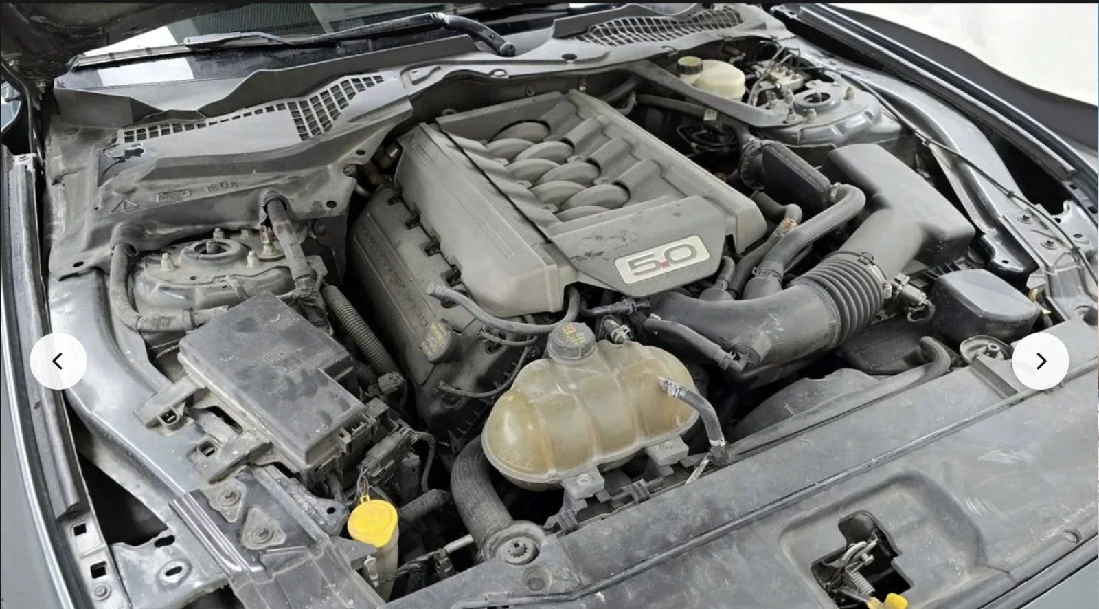 Ford Mustang GT* 5.0* V8* �������* ���������* ������* ������*  | Mobile.bg � ����������� 13