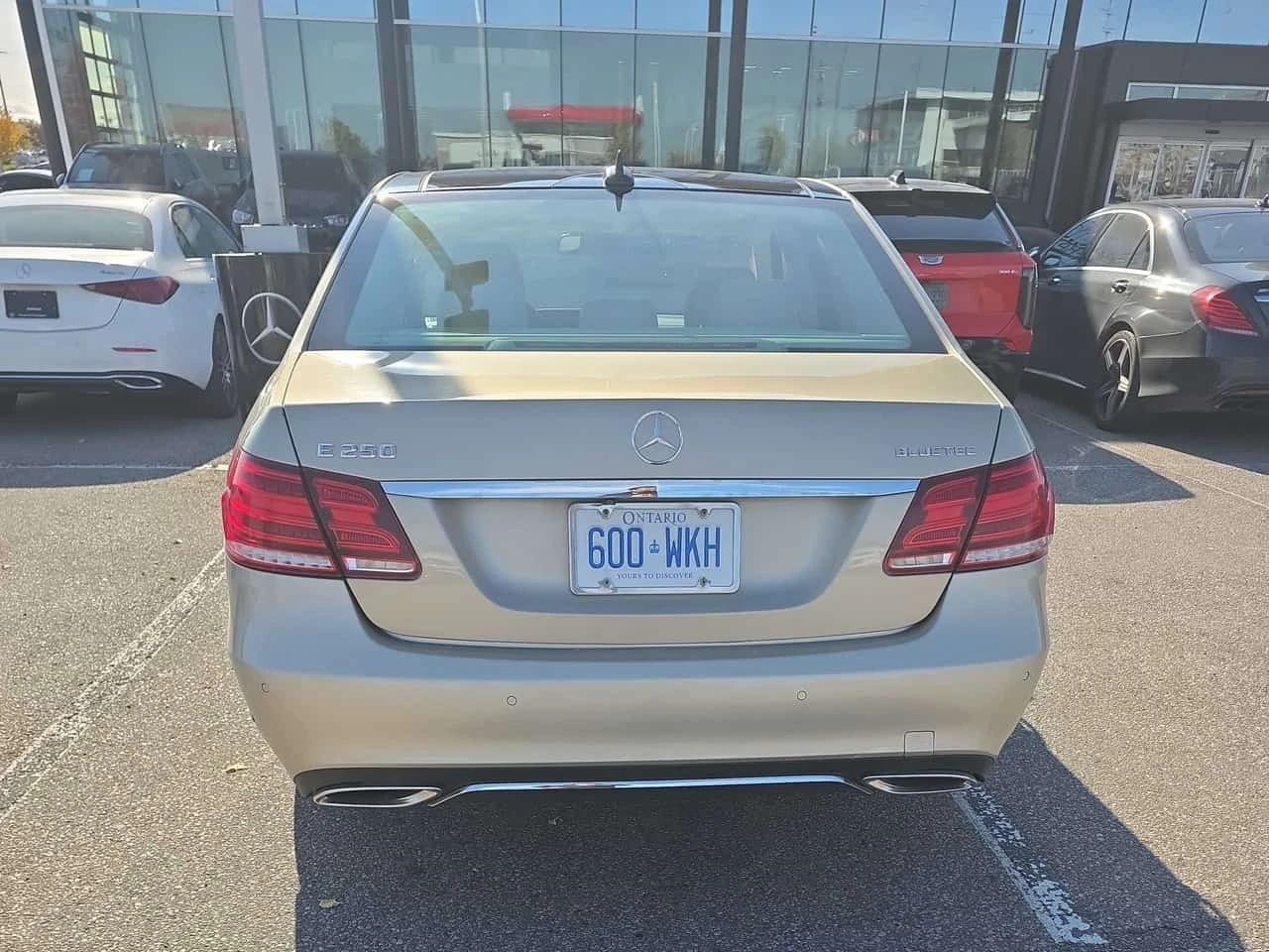 Mercedes-Benz E 250 * BlueTEC * ���������� * ������ ���������������� | Mobile.bg � ����������� 5