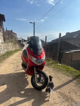 ������ Peugeot Elystar