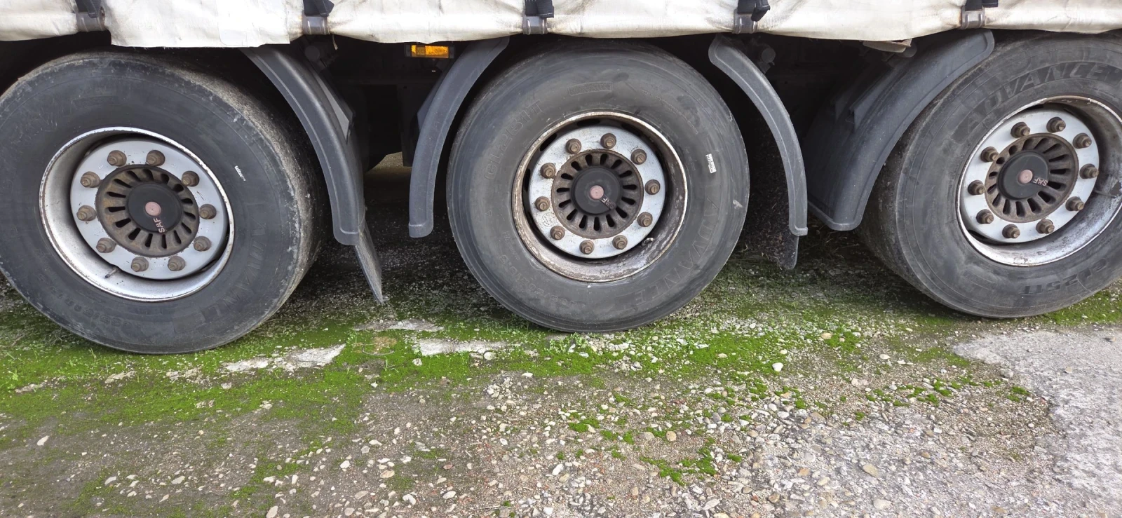 ����������� Koegel SN24 | Mobile.bg � ����������� 8