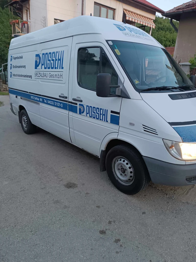 Mercedes-Benz Sprinter 316 Товаре, снимка 2 - Бусове и автобуси - 46994767