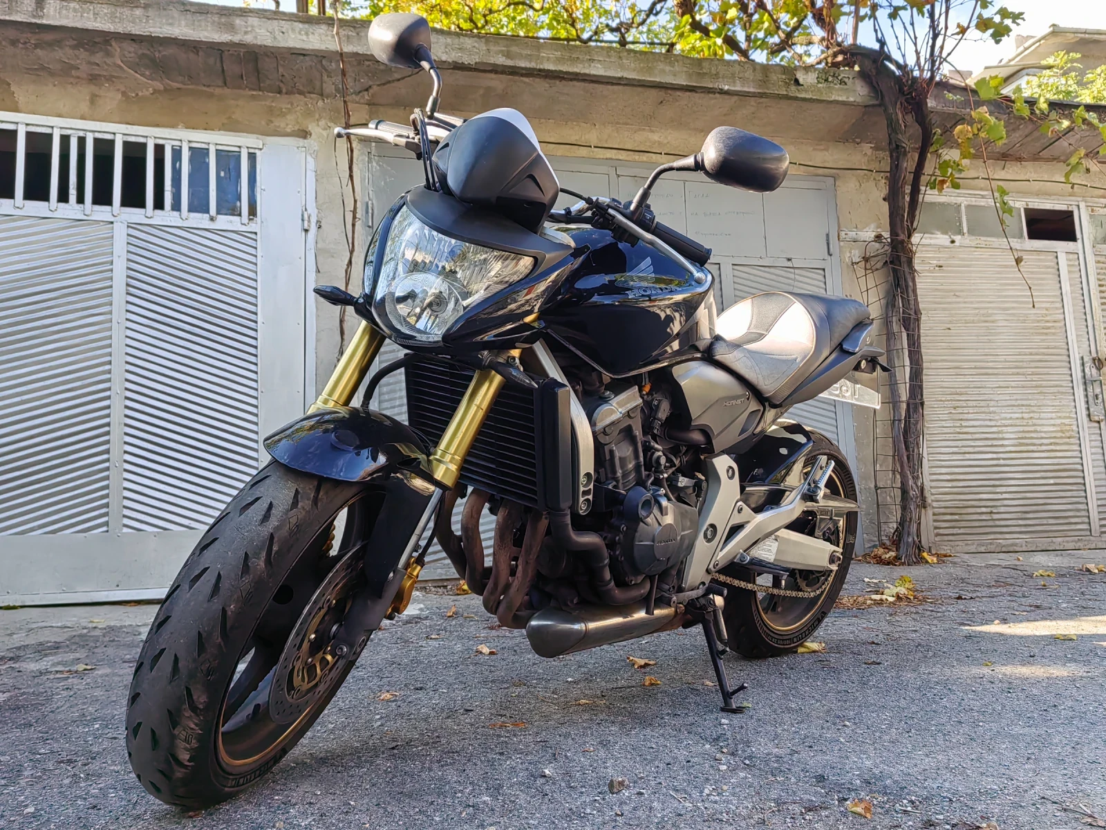 Honda Hornet  - изображение 7