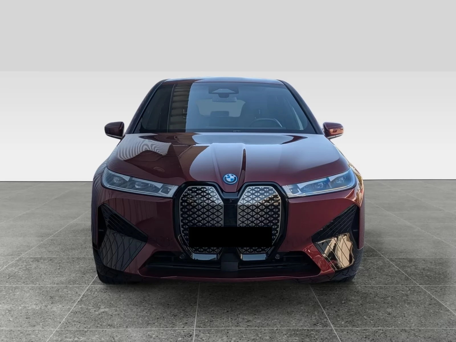 BMW iX 50 xDrive Sportpaket Air - изображение 2