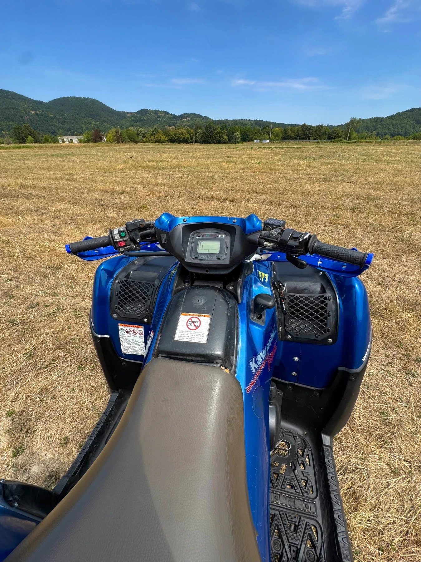 Kawasaki Kvf 750 BruteForce  - изображение 8