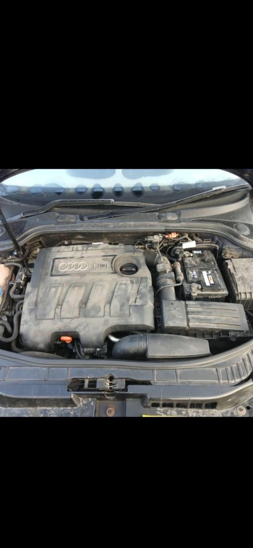 Audi A3 1.6TDI - изображение 6