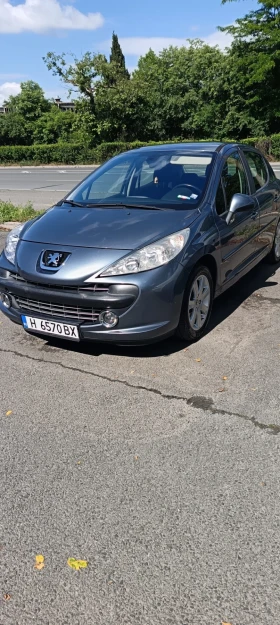  Peugeot 207
