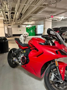 Ducati Supersport ЦЕНА ДО БЪЛГАРИЯ , снимка 3