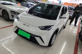 BYD Seagull Vitality Edition autogeorge.com, снимка 4