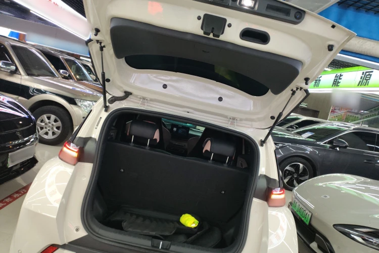 BYD Seagull Vitality Edition autogeorge.com | Mobile.bg � ����������� 7