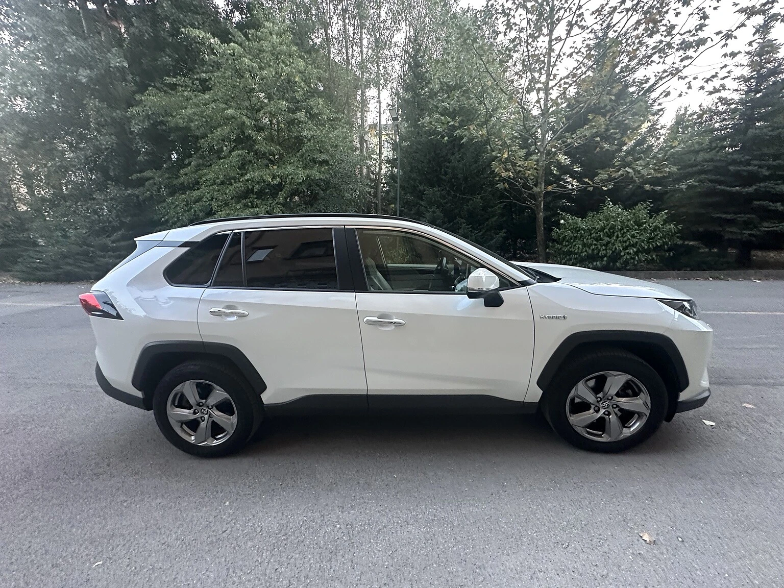 Toyota Rav4 2.5 Hybrid AWD Luxury Premium, снимка 3 - Автомобили и джипове - 55705137