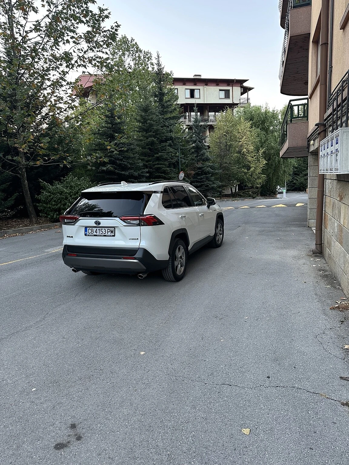 Toyota Rav4 2.5 Hybrid AWD Luxury Premium, снимка 5 - Автомобили и джипове - 55705137
