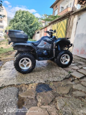     Yamaha Grizzly 660