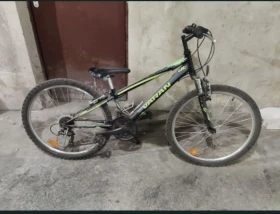 ��������� Varan | Mobile.bg � ����� ������ 2