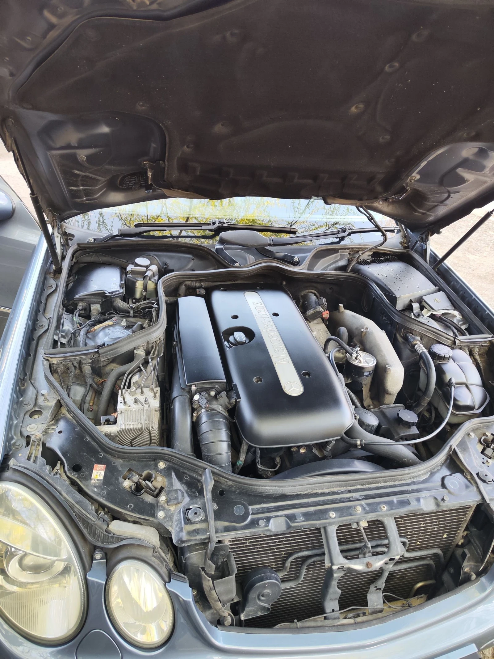 Mercedes-Benz E 320 E320 | Mobile.bg � ����������� 13