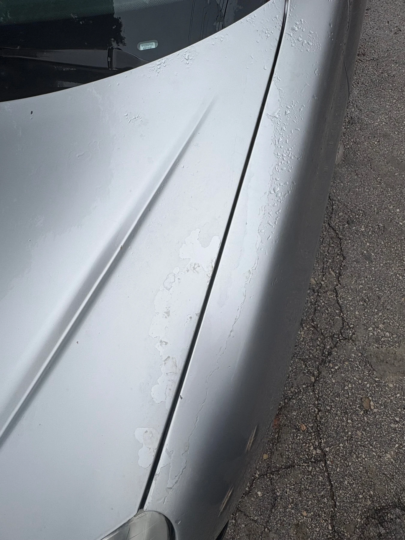 Peugeot 206, снимка 8 - Автомобили и джипове - 55015505