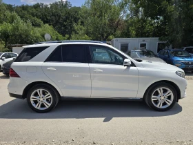 Mercedes-Benz GLE 250 D Sport 4MATIC AMG , снимка 8