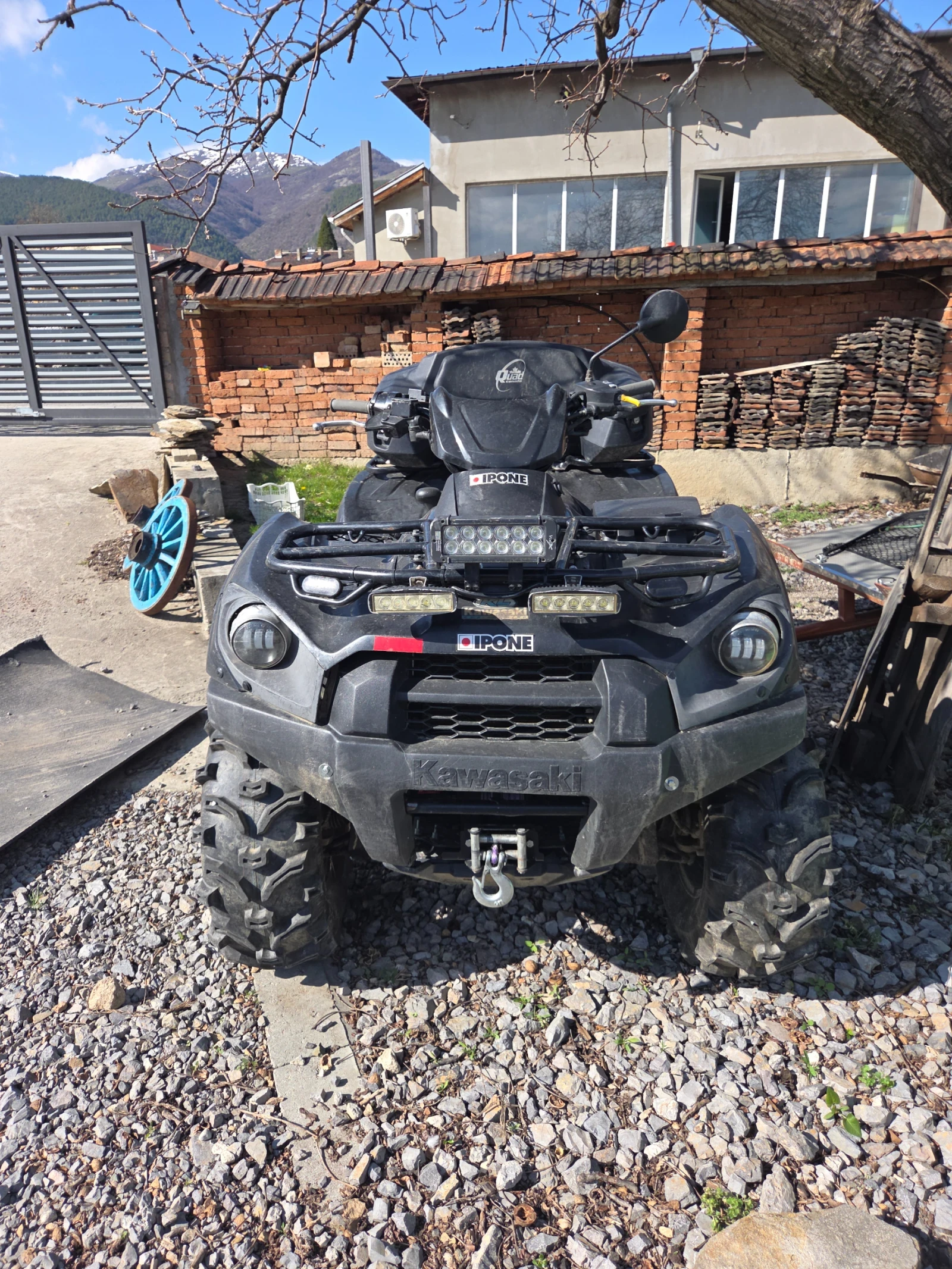 Kawasaki Brute Force 750