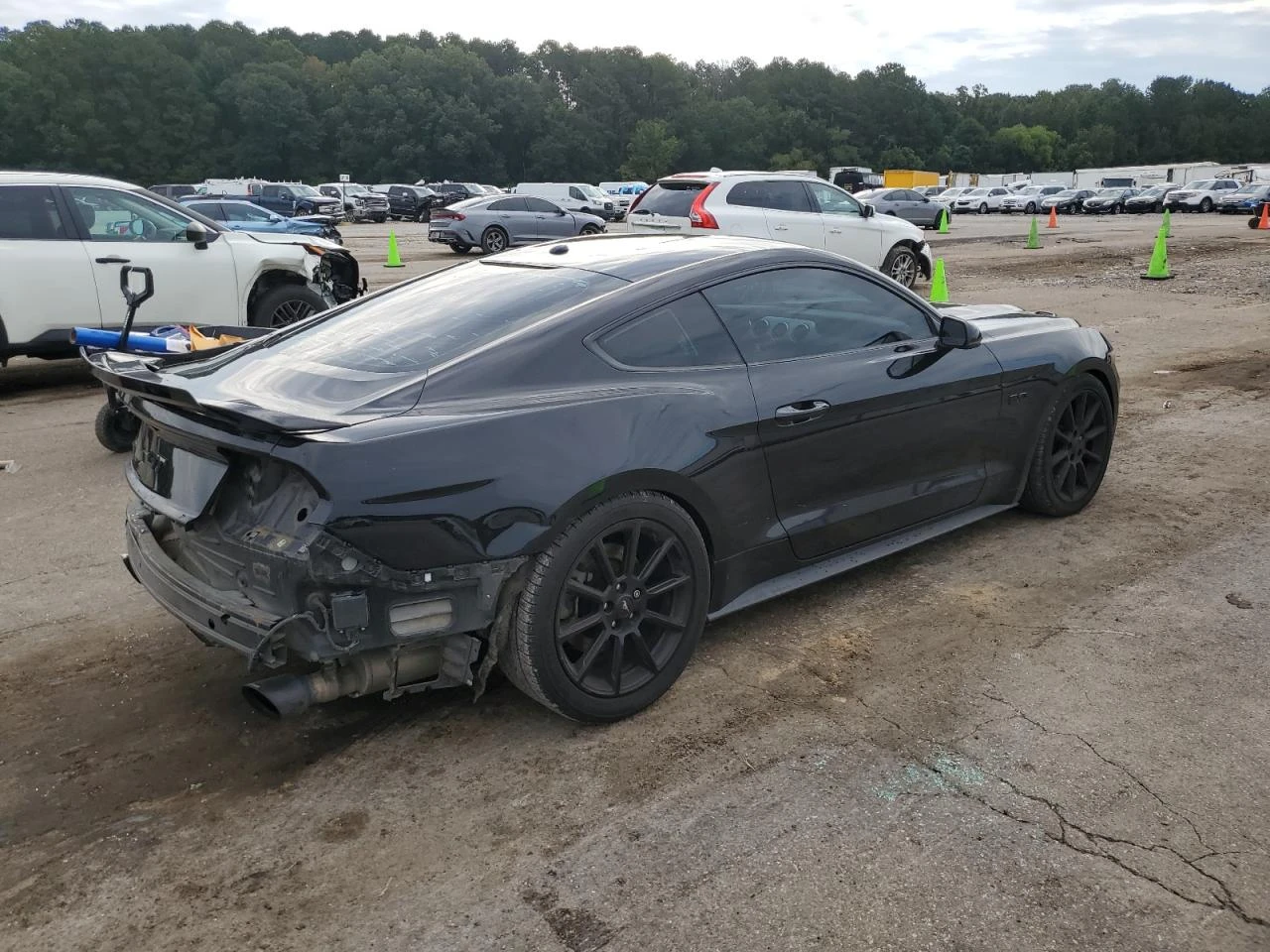 Ford Mustang GT 5.0L ФИКСИРАНА ЦЕНА! КОЖА/RECARO - изображение 6