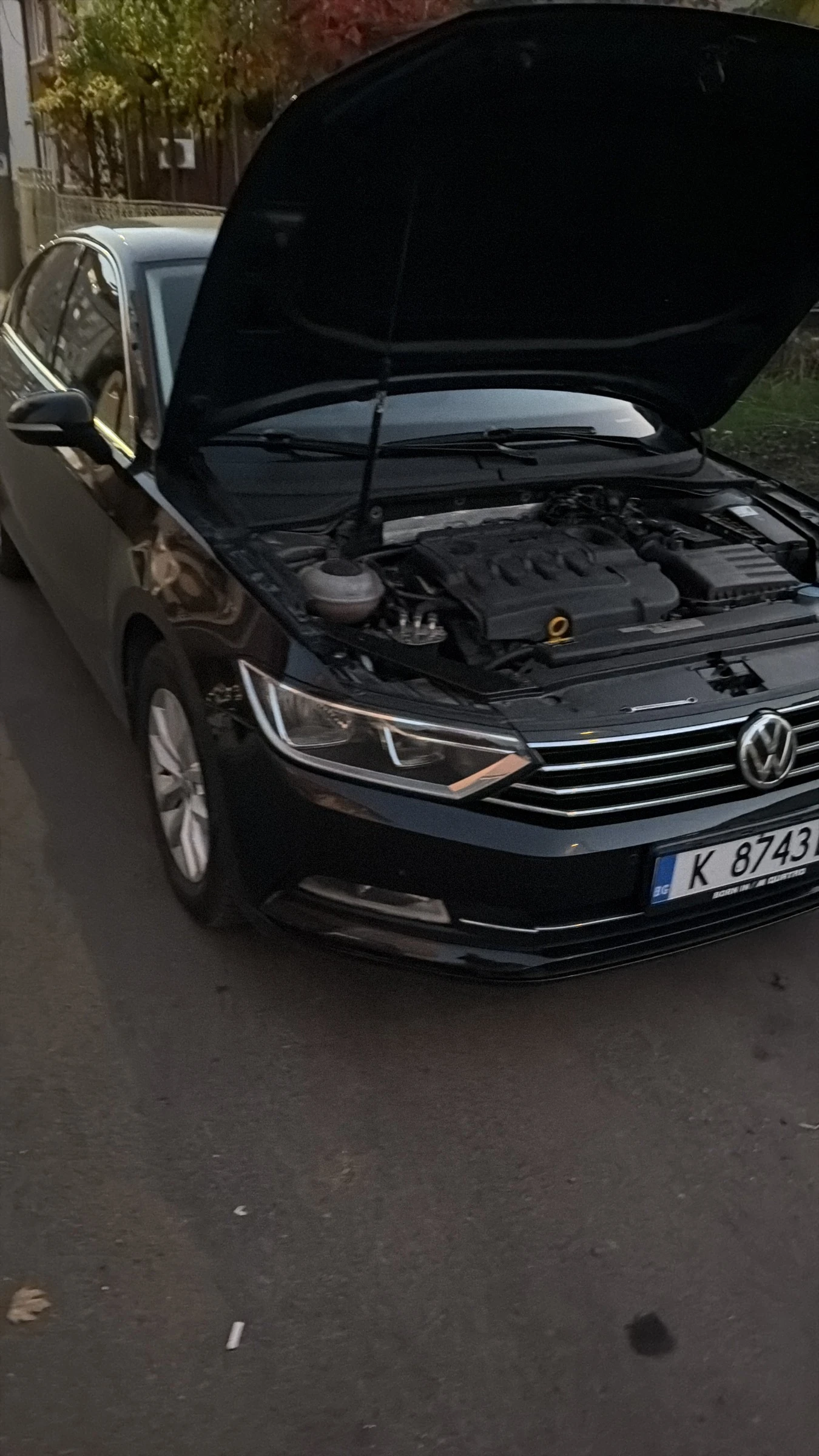 VW Passat
