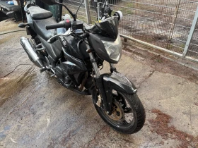 Sym Wolf, снимка 1