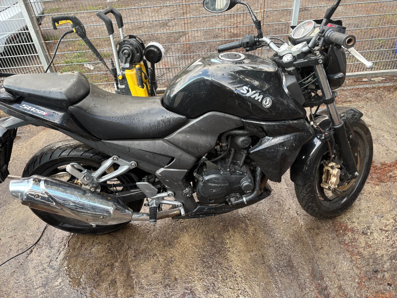 Sym Wolf  - изображение 2