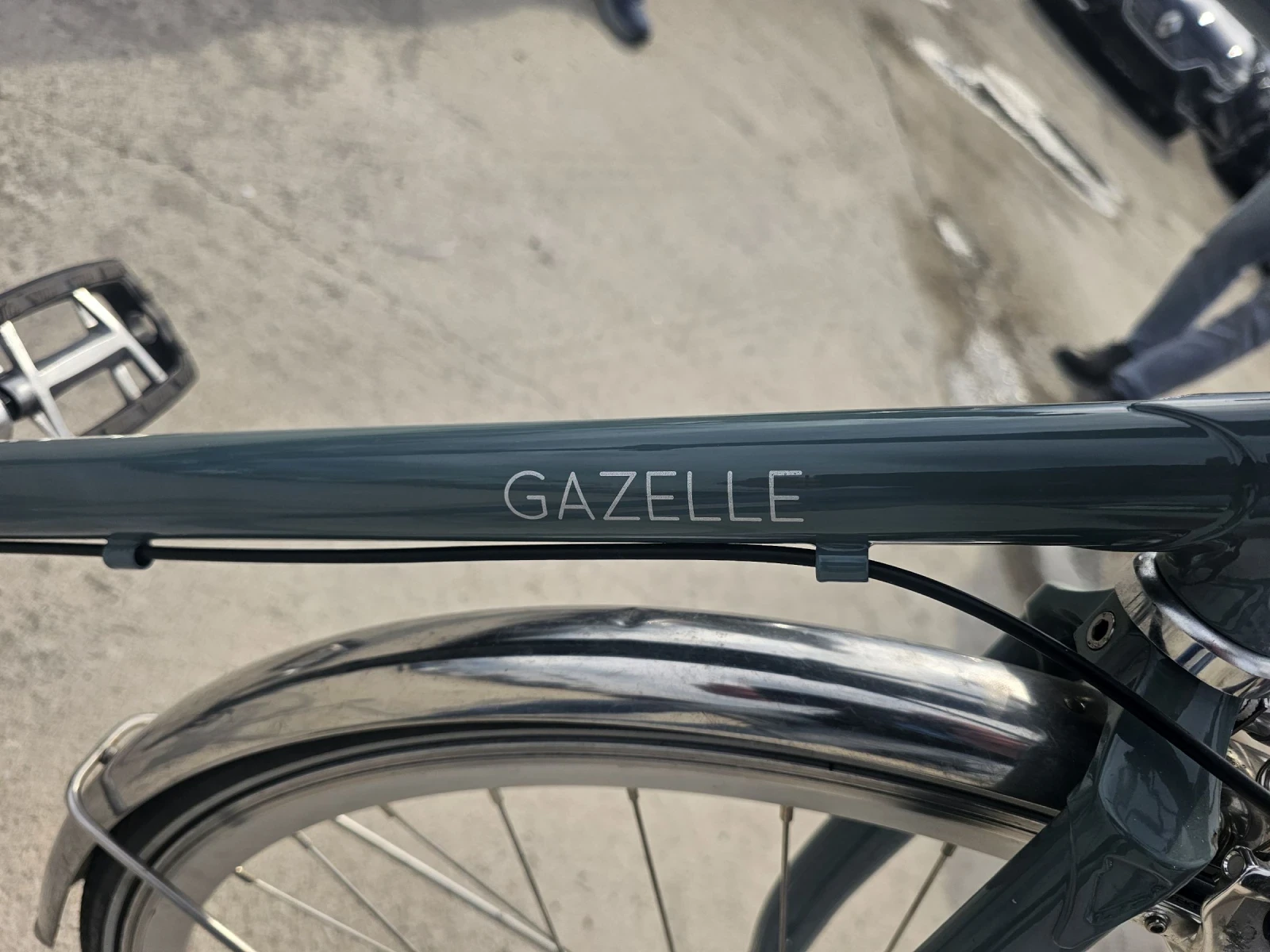 ������� GAZELLE VAN STAEL | Mobile.bg � ����������� 8