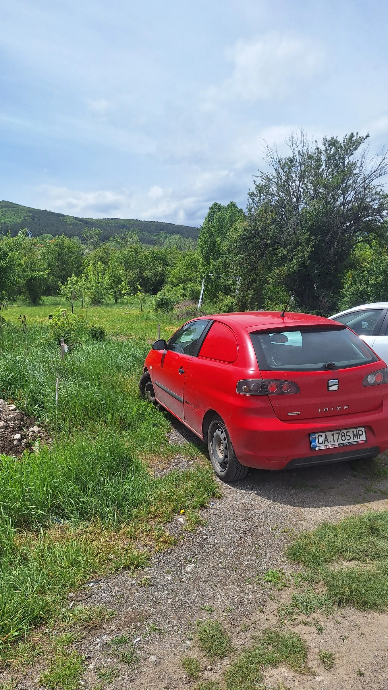 Seat Ibiza  - изображение 3