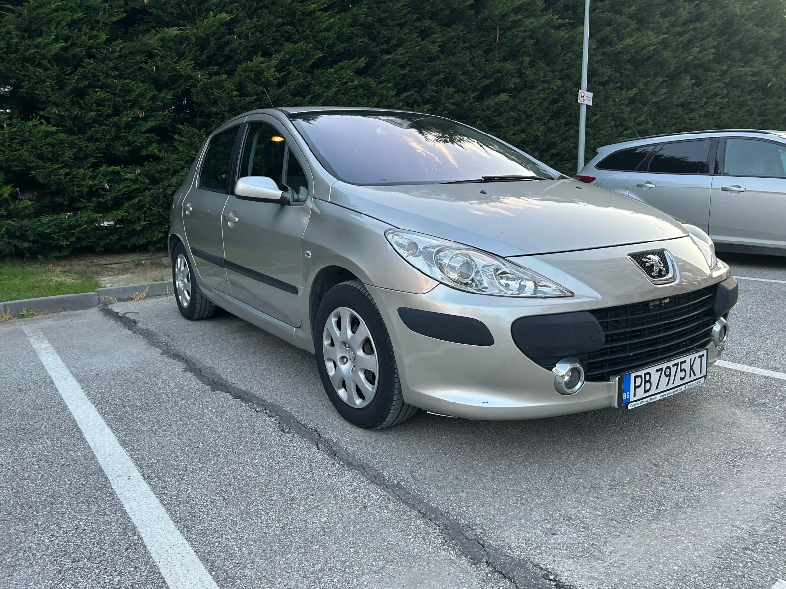 Peugeot 307 ГАЗОВ ИНЖЕКЦИОН