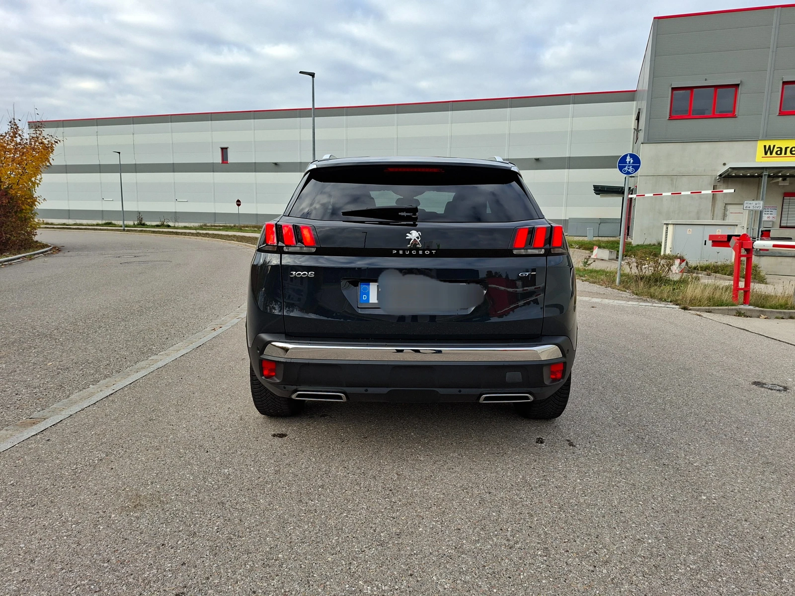 Peugeot 3008 2.0HDI 180 GT 135000km, снимка 5 - Автомобили и джипове - 54031838