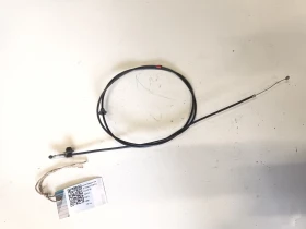 ������ ���� � ��������� ���...