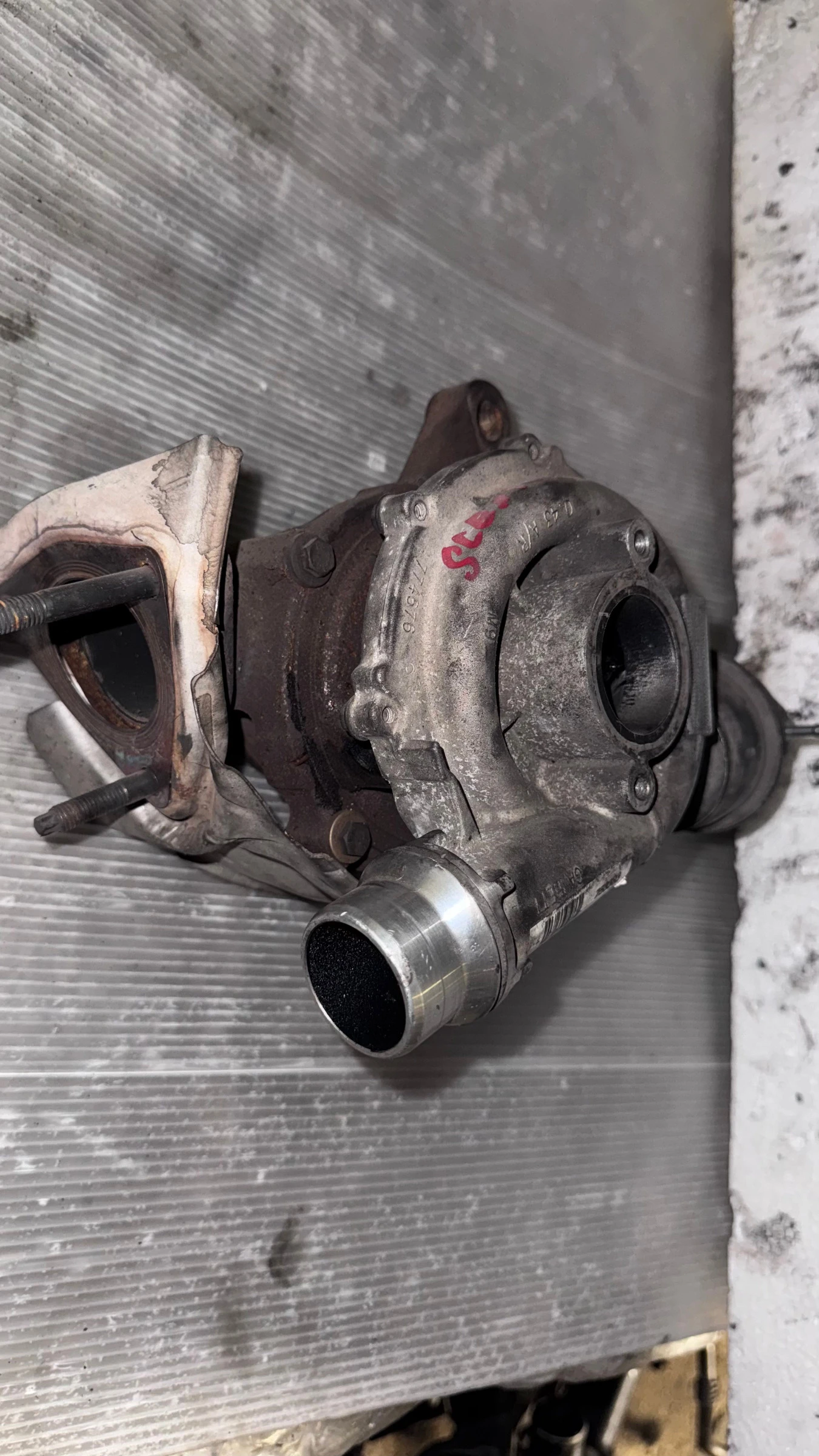 ����� ��������� �� Renault Scenic - 774193-3 | Mobile.bg � ����������� 1