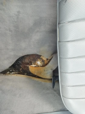 Mercedes-Benz SL 560, снимка 8