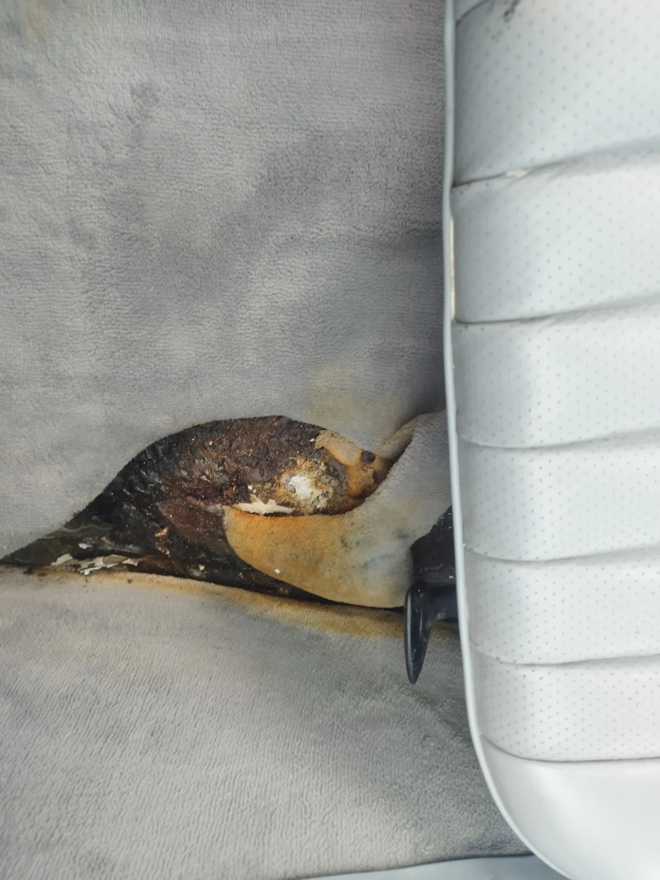 Mercedes-Benz SL 560 | Mobile.bg � ����������� 8