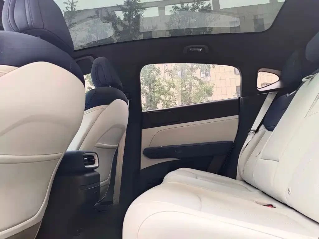 Xpeng G6, снимка 14 - Автомобили и джипове - 56710906