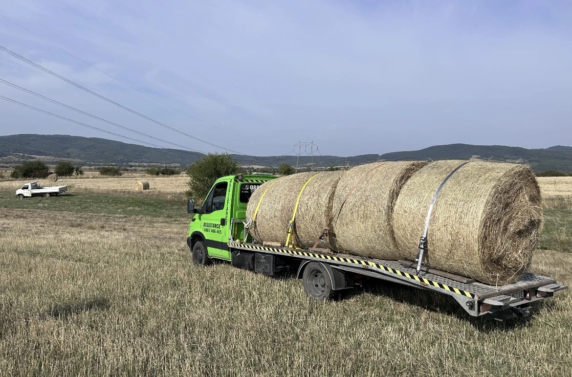 Iveco 35c13 2.8 6 скорости 129к.с , снимка 16 - Бусове и автобуси - 55809237