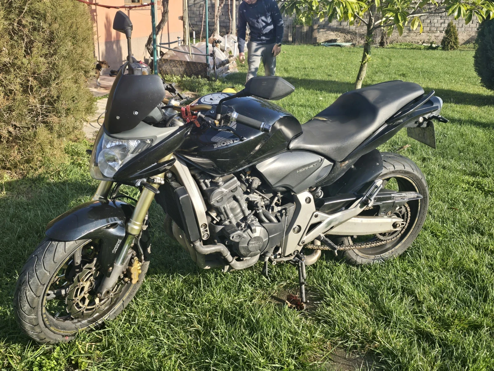 Honda Cbf CB600F Hornet ABS - изображение 2