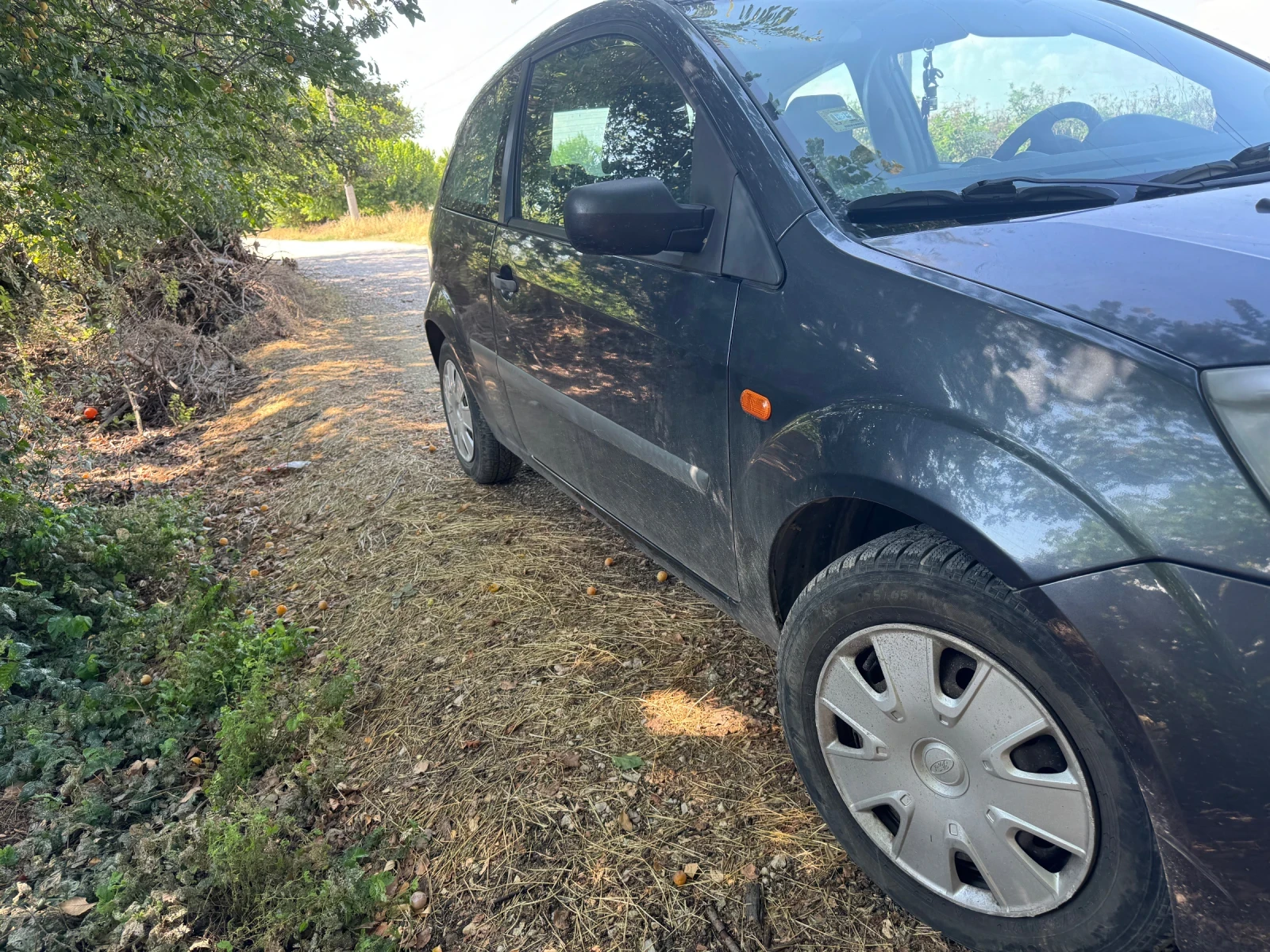 Ford Fiesta  - изображение 3