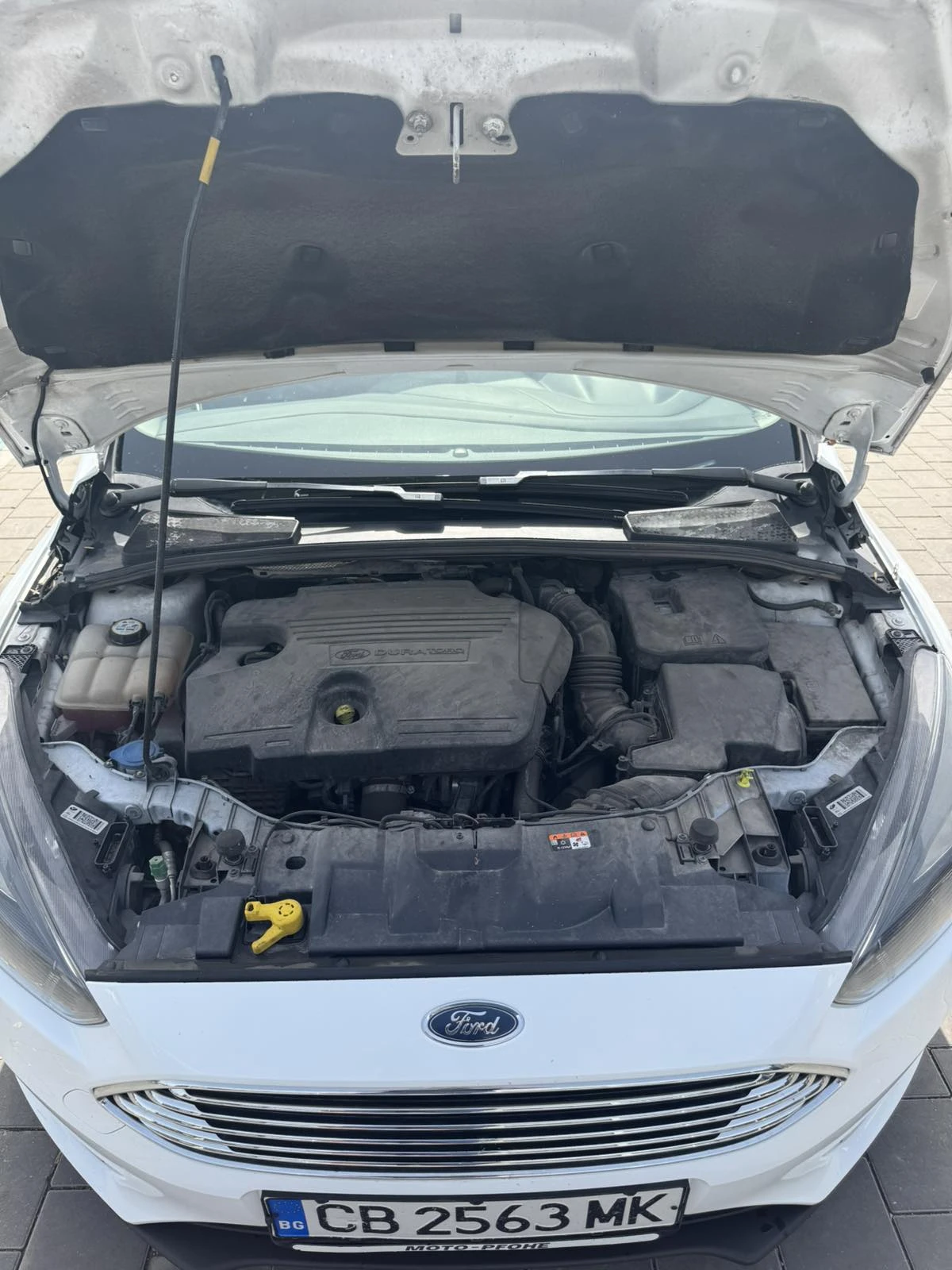 Ford Focus, снимка 13 - Автомобили и джипове - 55877654
